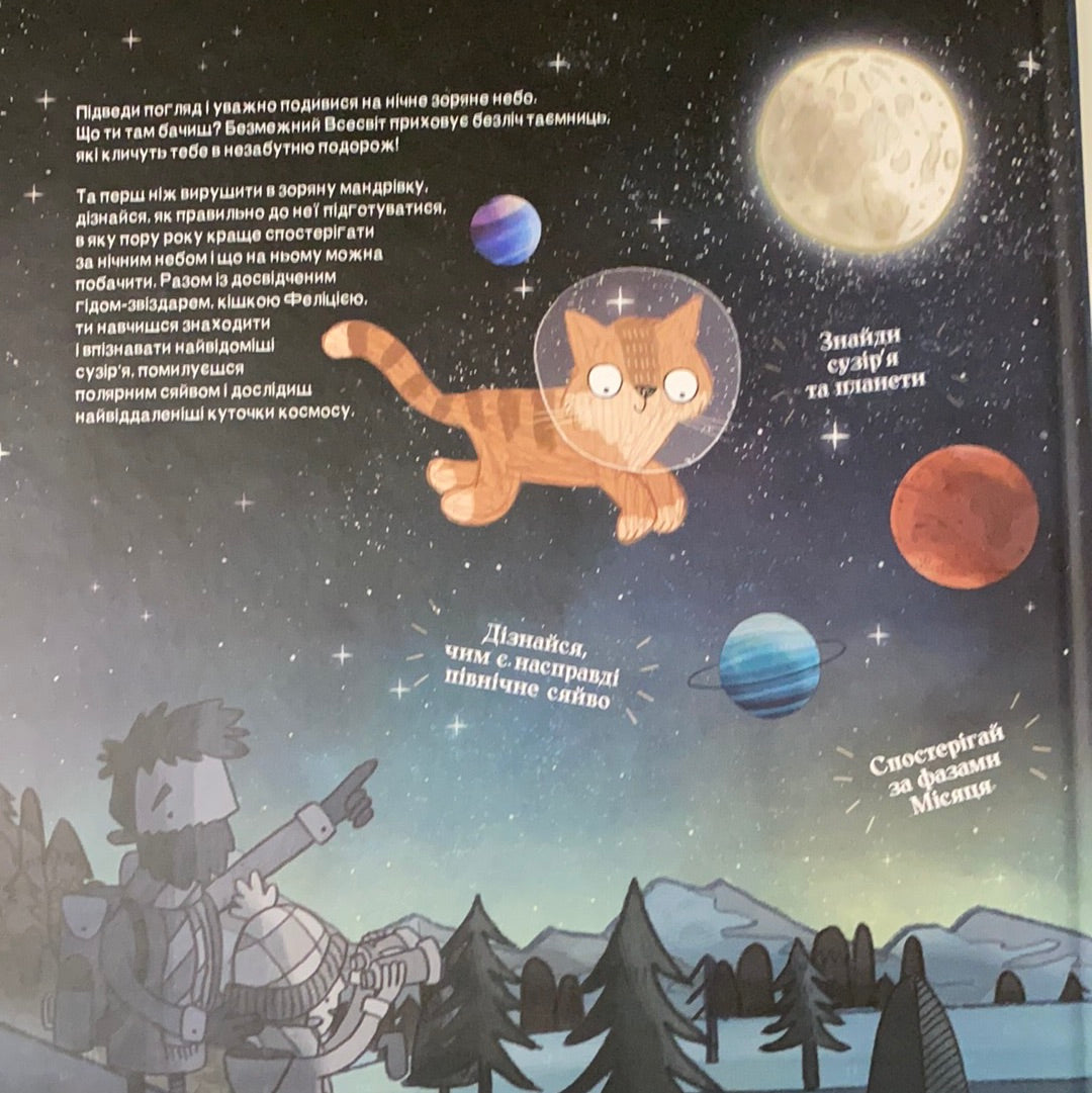 Котячий путівник нічним небом