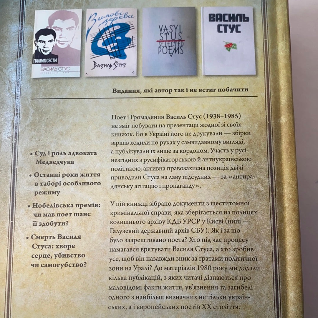 Кримінальна справа Стуса. Вахтанг Кіпіані / Best Ukrainian books in USA