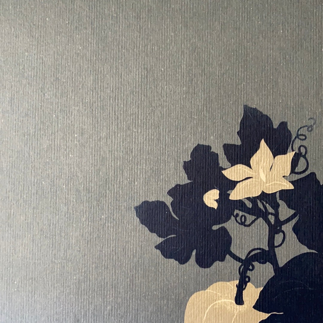 Спитайте Мієчку. Євгенія Кузнєцова / Ukrainian best books in USA. Сучасна українська проза