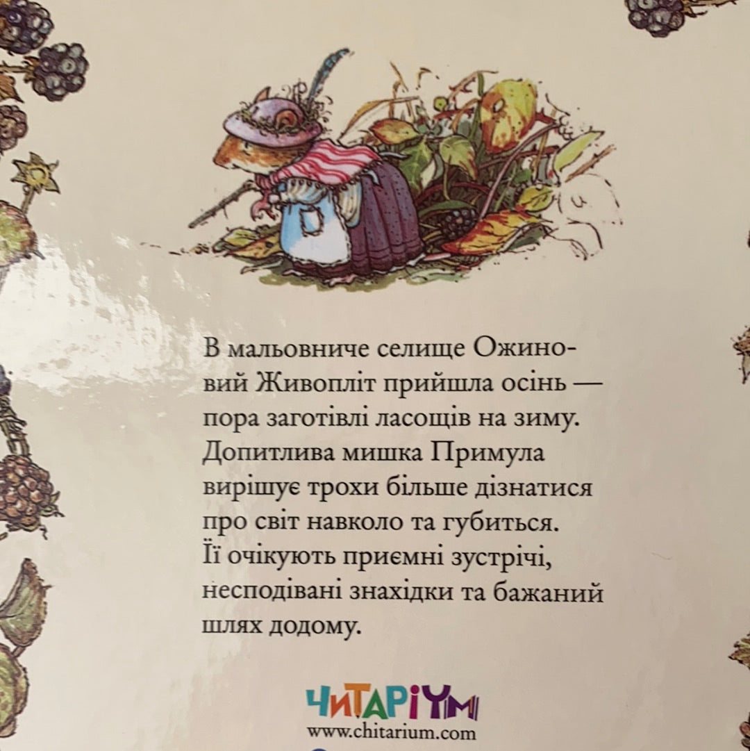 Осіння історія. Ожиновий живопліт. Джилл Барклем / Ukrainian book for kids. Улюблені книги від іноземних авторів