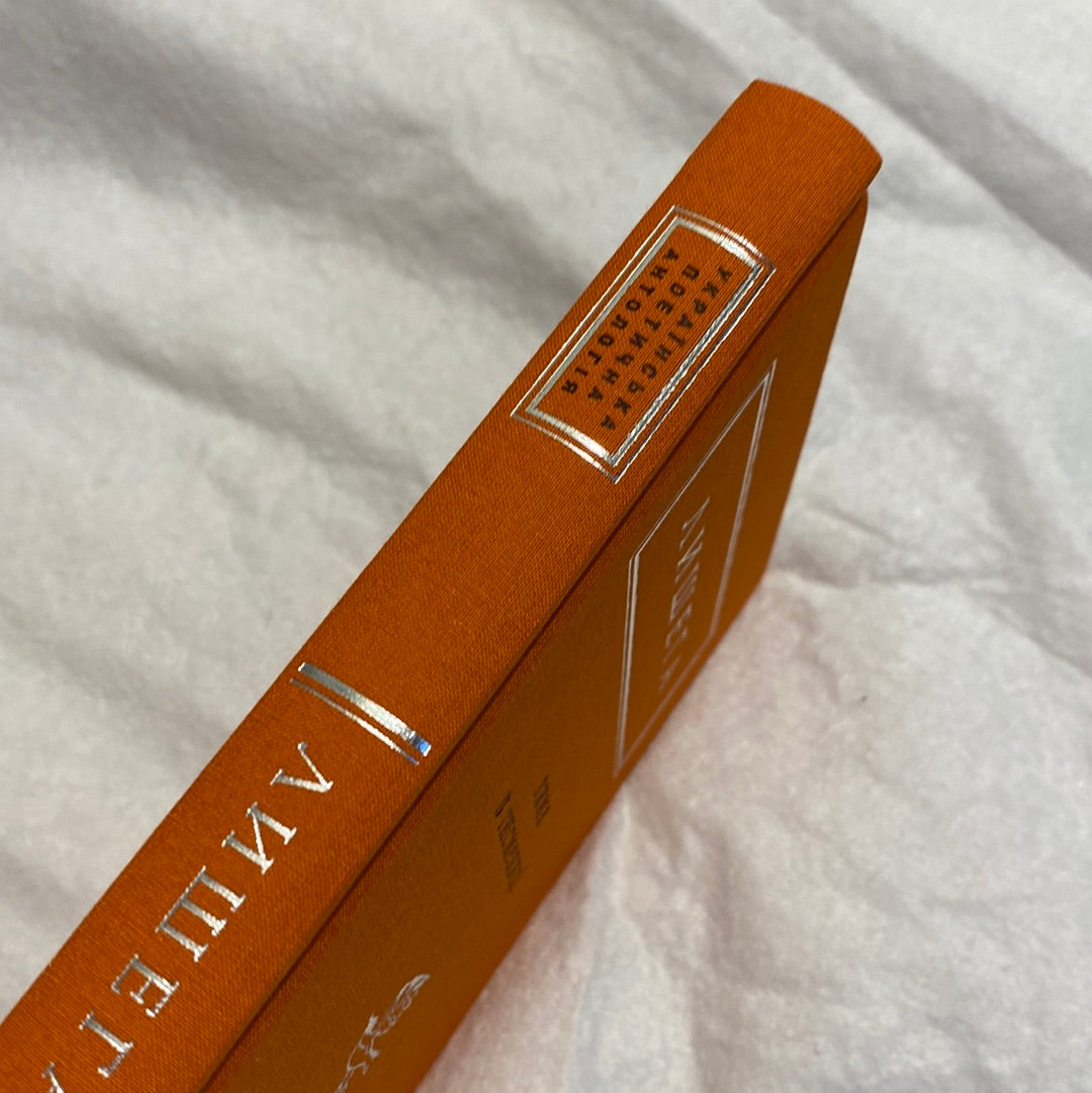 Зима в Тисмениці. Олег Лишега / Українська поетична антологія в США