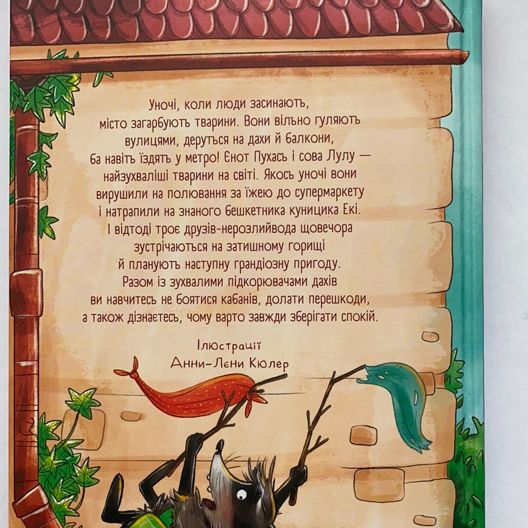 Зграя з даху. Ангеліка Ністрат, Андреас Гюгінг / Пригодницька література для дітей. Ukrainian books about animals