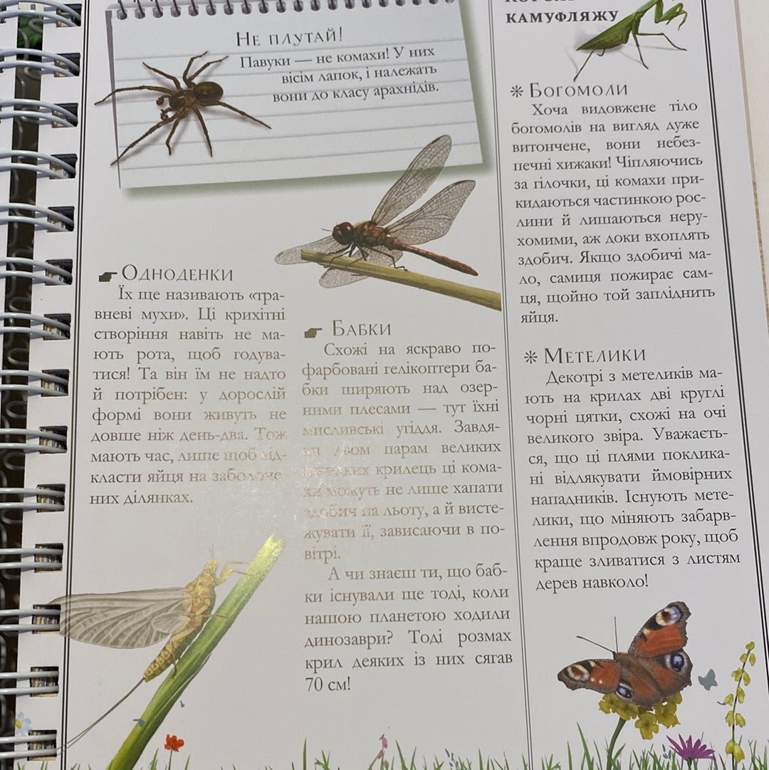 Boys’ Book. Підручник відважного мандрівника / Подарункові книги для хлопчиків