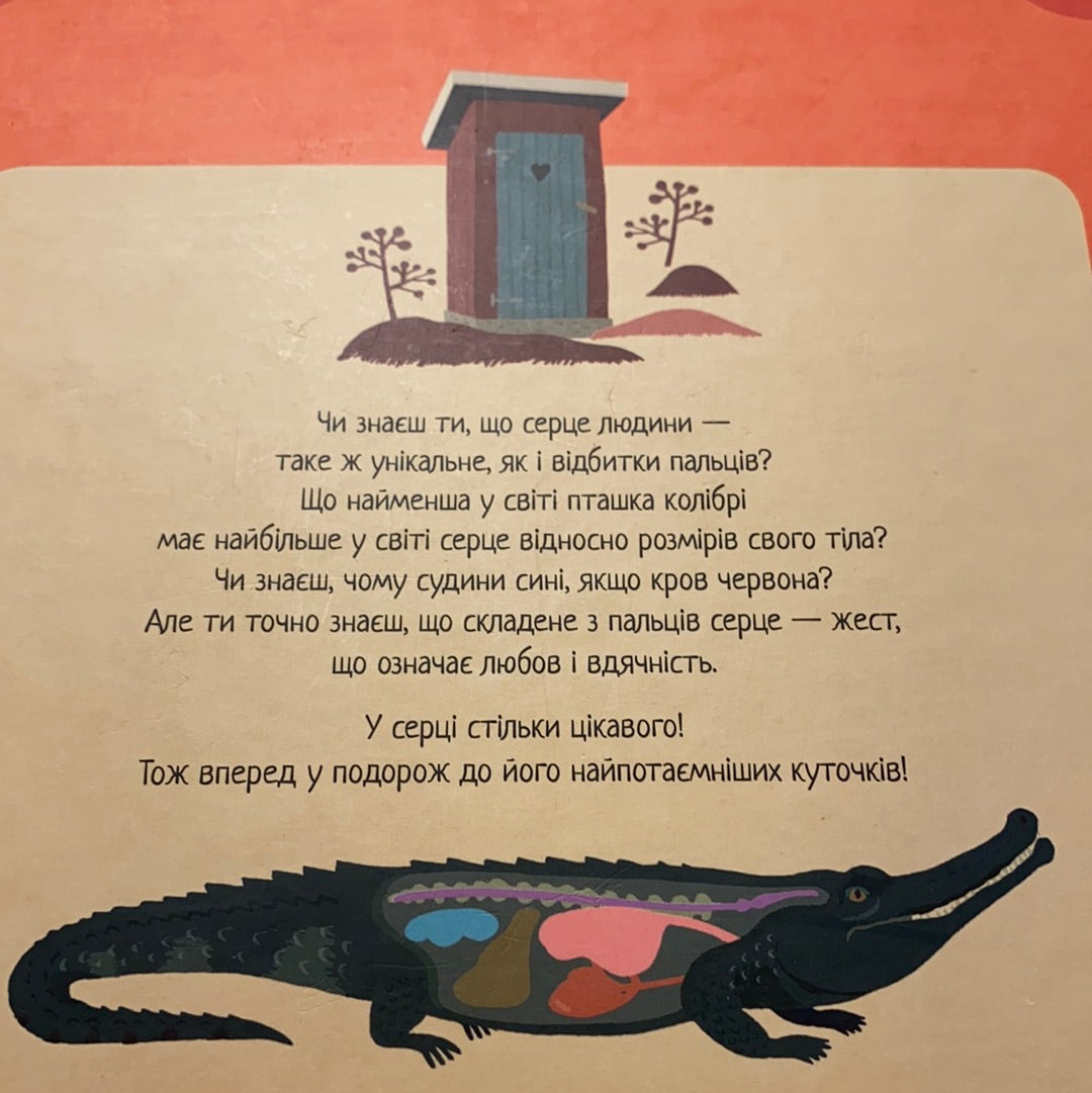 Душевні факти про серце. Лена Шеберг / Пізнавальні книги для дітей