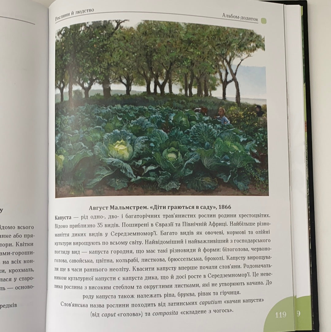 Зелений вінок планети. Рослини й людство. Кирило Булаховський / Ukrainian gift books for kids about plants and flowers