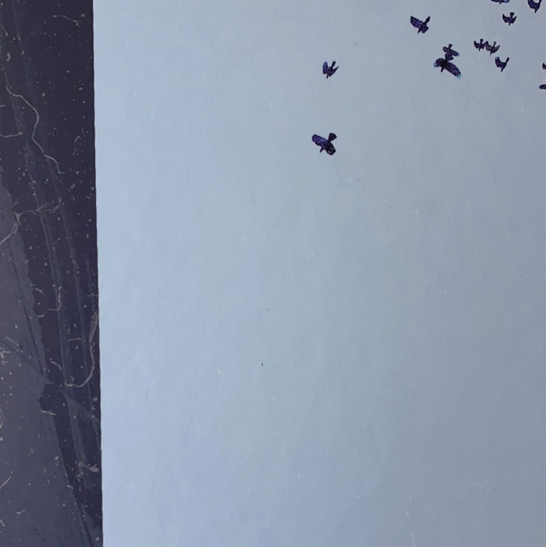 Там, де падають Ангели. Дорота Тераковська