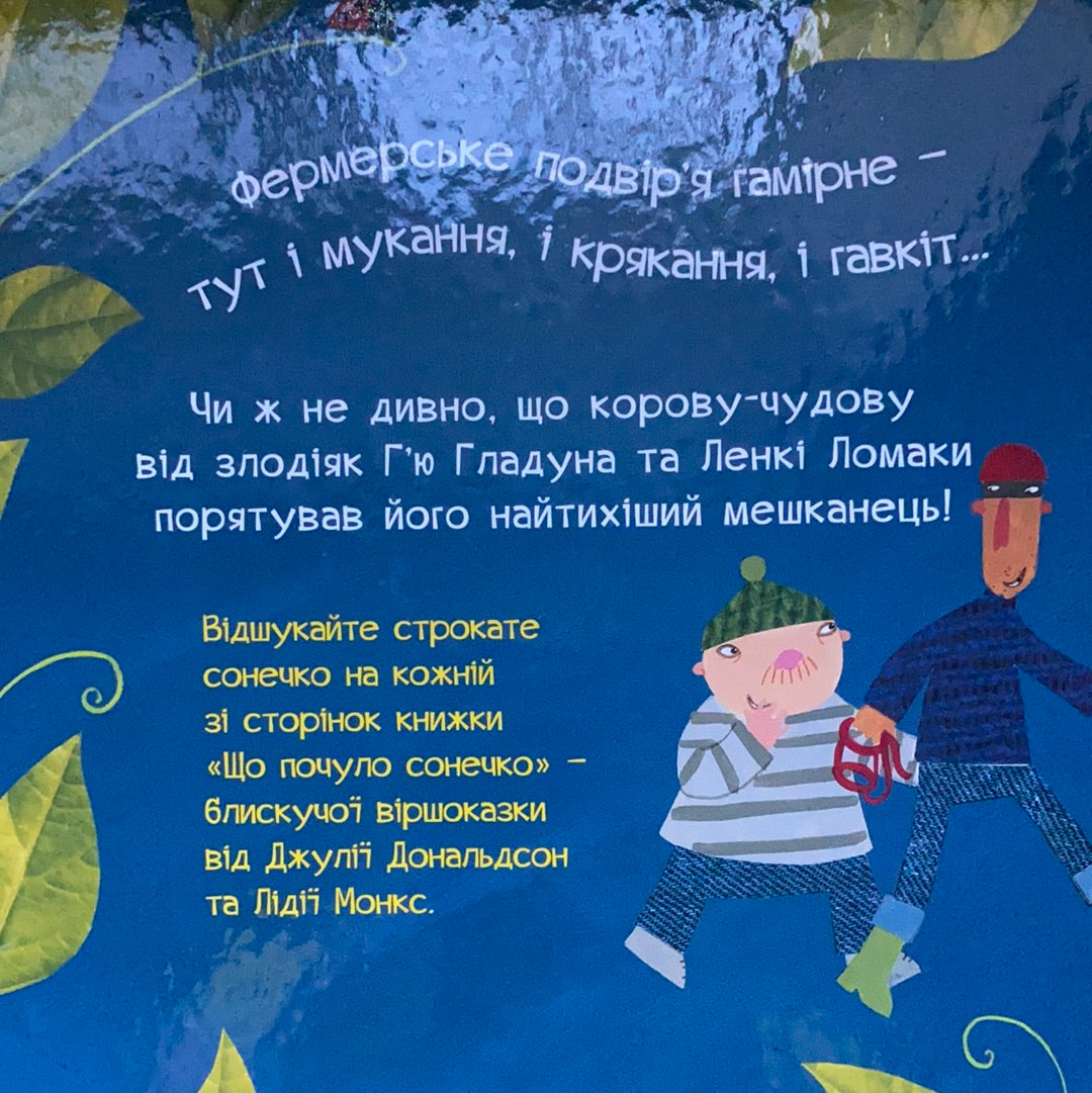 Що почуло сонечко? Світ неймовірних історій від Джулії Дональдсон та Акселя Шеффлера / Best Ukrainian books in USA. Книги для сімейних читань