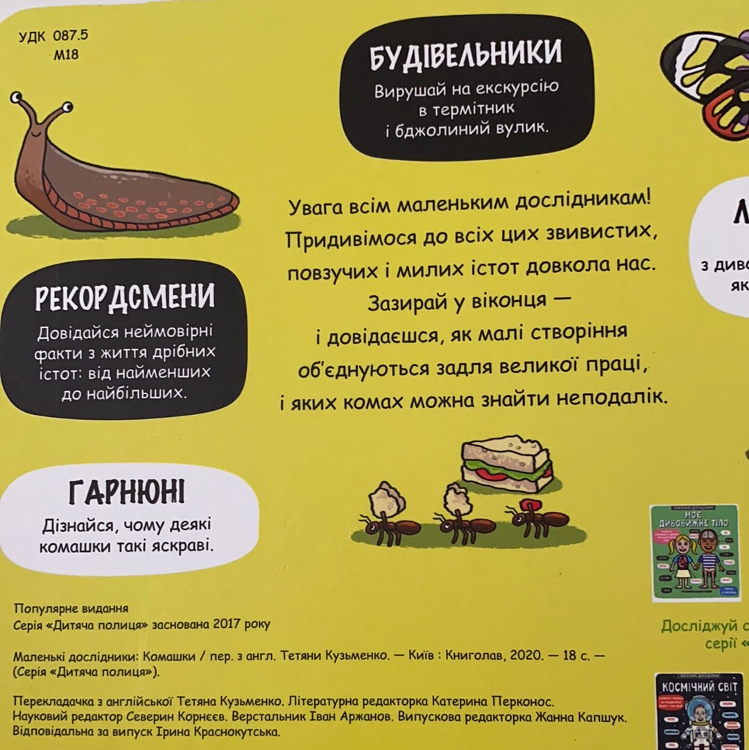 Комашки. Маленькі дослідники