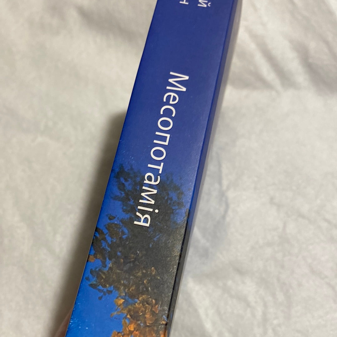 Месопотамія. Сергій Жадан / Сучасна українська проза в США. Ukrainian bookstore in USA