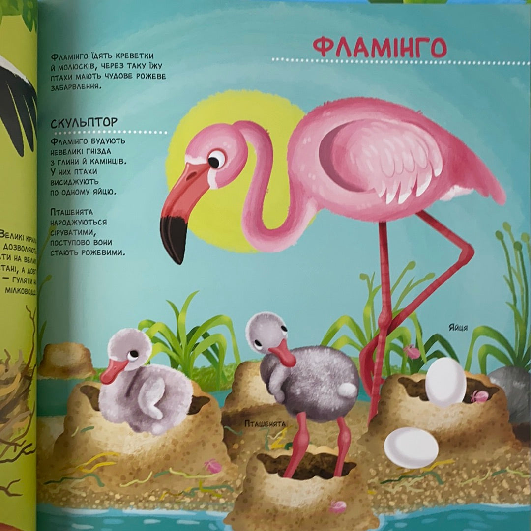 Як живуть крихітні створіння. Елеонора Барзотті
