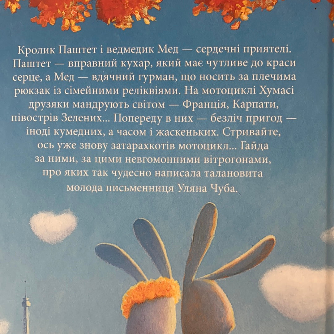 Мед і Паштет — фантастичні вітрогони. Уляна Чуба / Пригодницька література для дітей українською. Ukrainian best books for children
