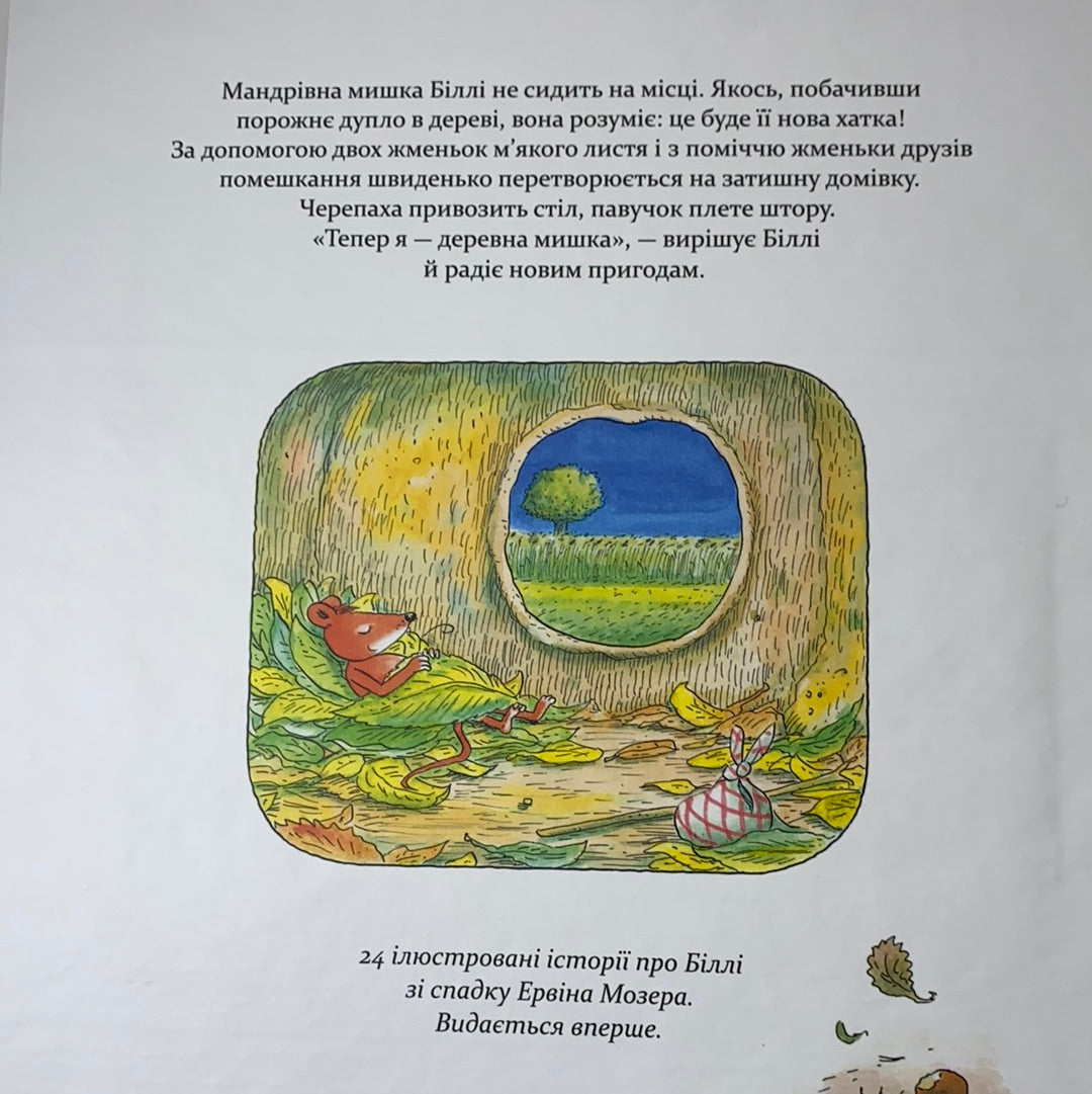 Деревна мишка Біллі. Прогулянки хороброго мишеняти. Ервін Мозер / Улюблені книги українською