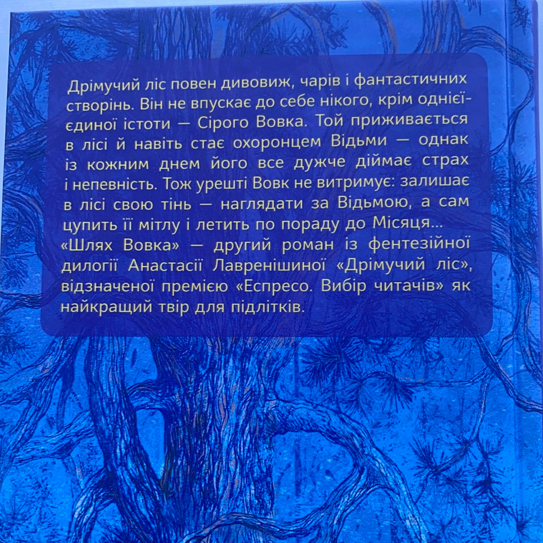 Дрімучий ліс. Шлях вовка / Ukrainian book for kids. Українська міфологія в художній літературі