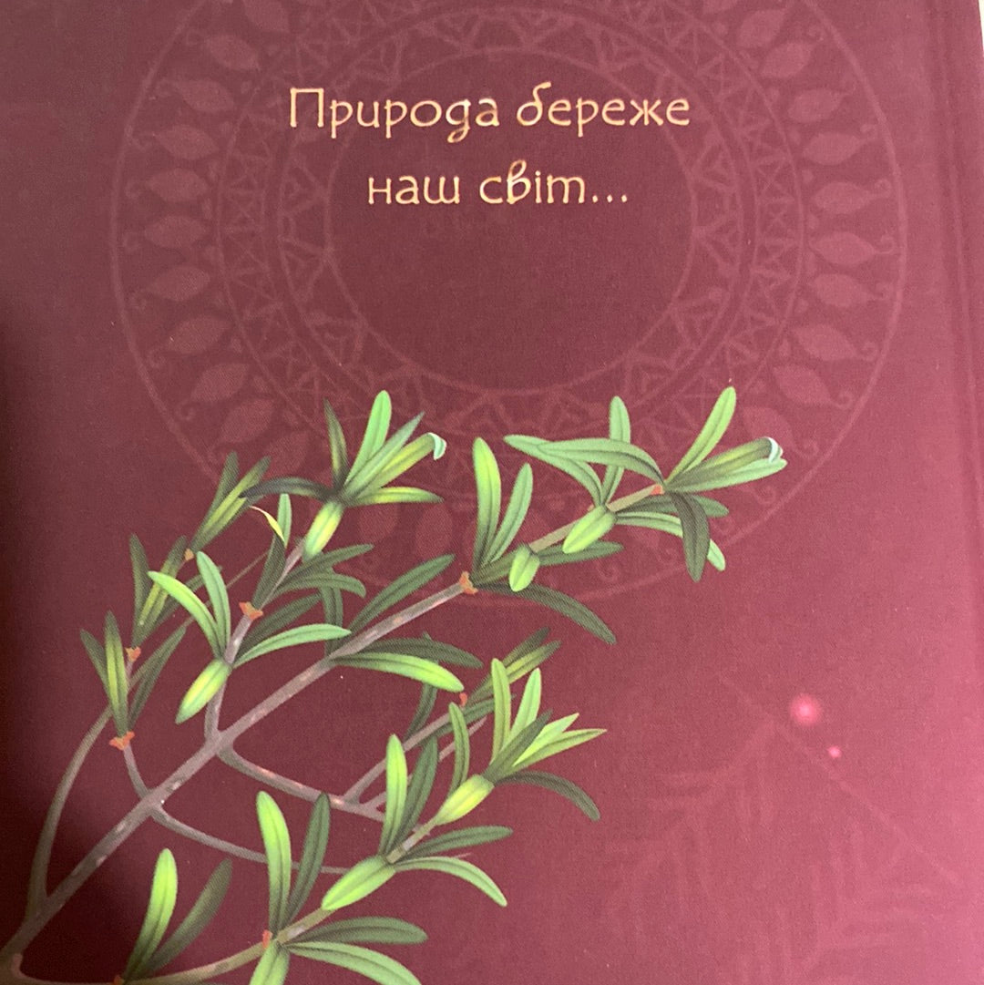 Щоденник Мавки. Літо / Українські записники в США