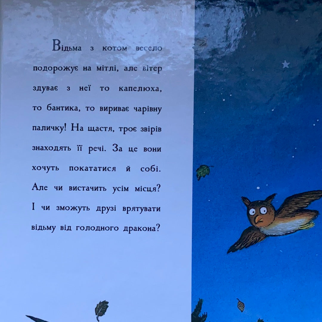 Місце на мітлі. Світ неймовірних історій від Джулії Дональдсон та Акселя Шеффлера / Best Ukrainian books in USA. Книги для сімейних читань