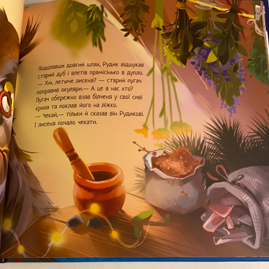Зимове диво. Геннадій Меламед / Зимові книги для дітей. Winter Ukrainian books for kids