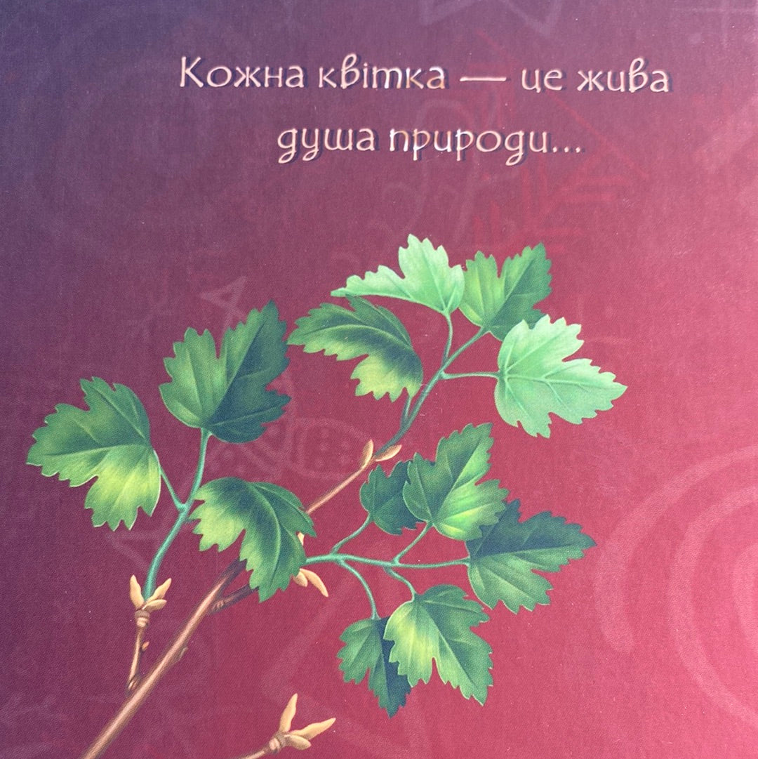 Щоденник Мавки. Україночка / Українські записники в США