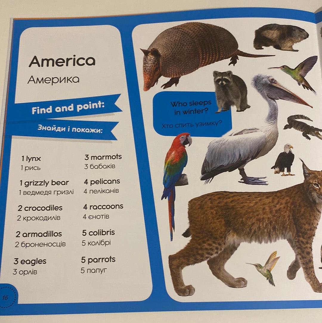 100 words about animals of the world. 100 слів про тварин світу. Фотокнижка-шукалка / Книга-білінгва в США