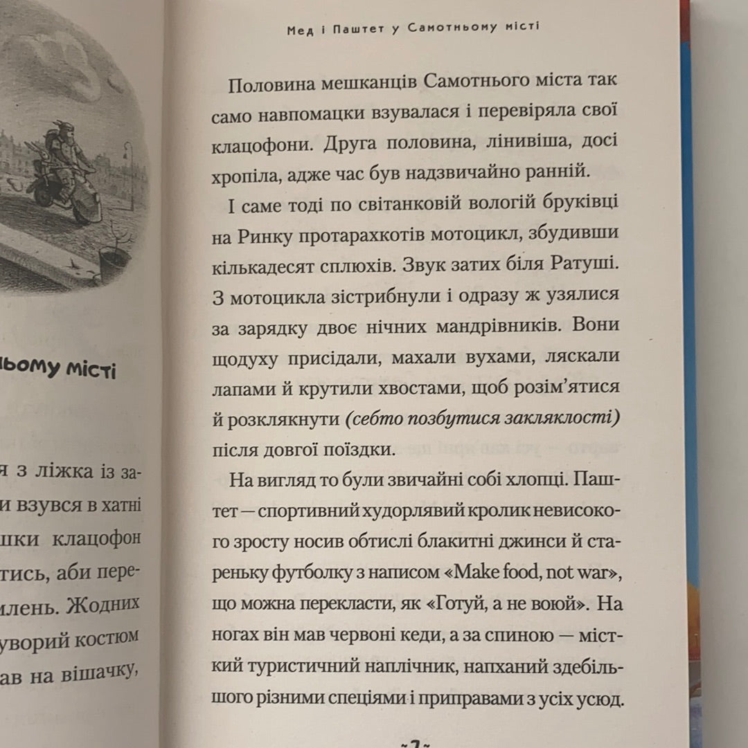 Мед і Паштет — фантастичні вітрогони. Уляна Чуба / Пригодницька література для дітей українською. Ukrainian best books for children