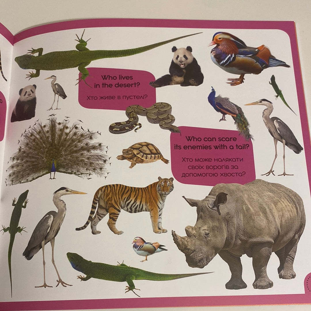 100 words about animals of the world. 100 слів про тварин світу. Фотокнижка-шукалка / Книга-білінгва в США