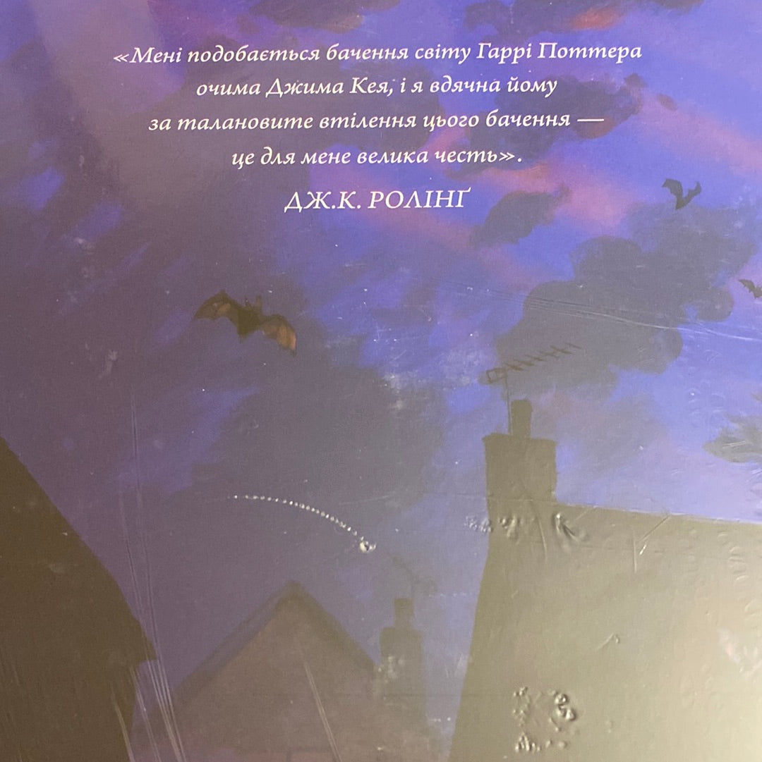 Гаррі Поттер і в’язень Азкабану. Велике ілюстроване видання. Джоан Роулінг / Ukrainian Harry Potter in USA