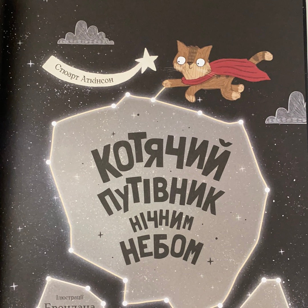 Котячий путівник нічним небом