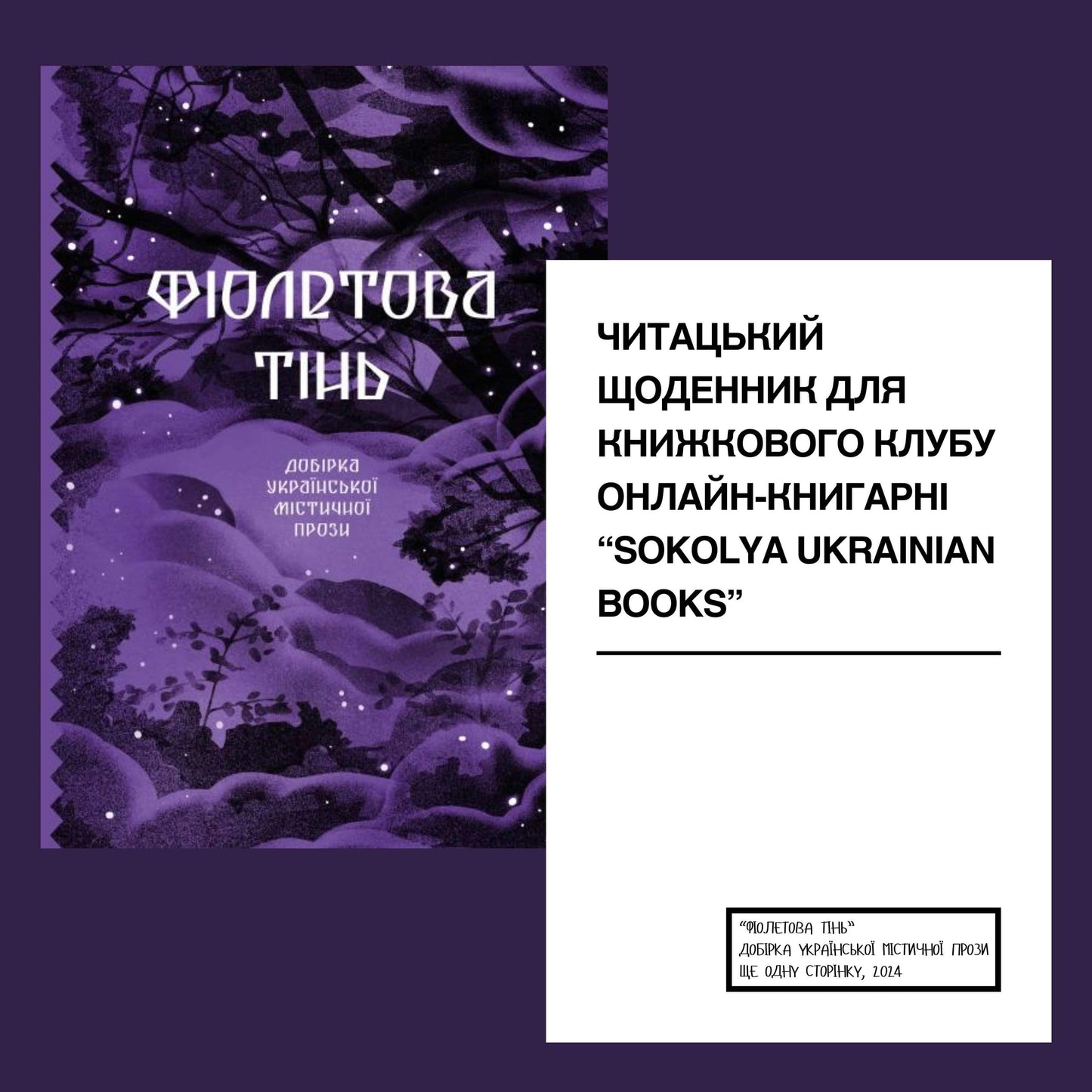 Читацький щоденник для книжкового клубу до книги «Фіолетова тінь». Розроблений Вікторією Барбанюк / Читацькі щоденники в США