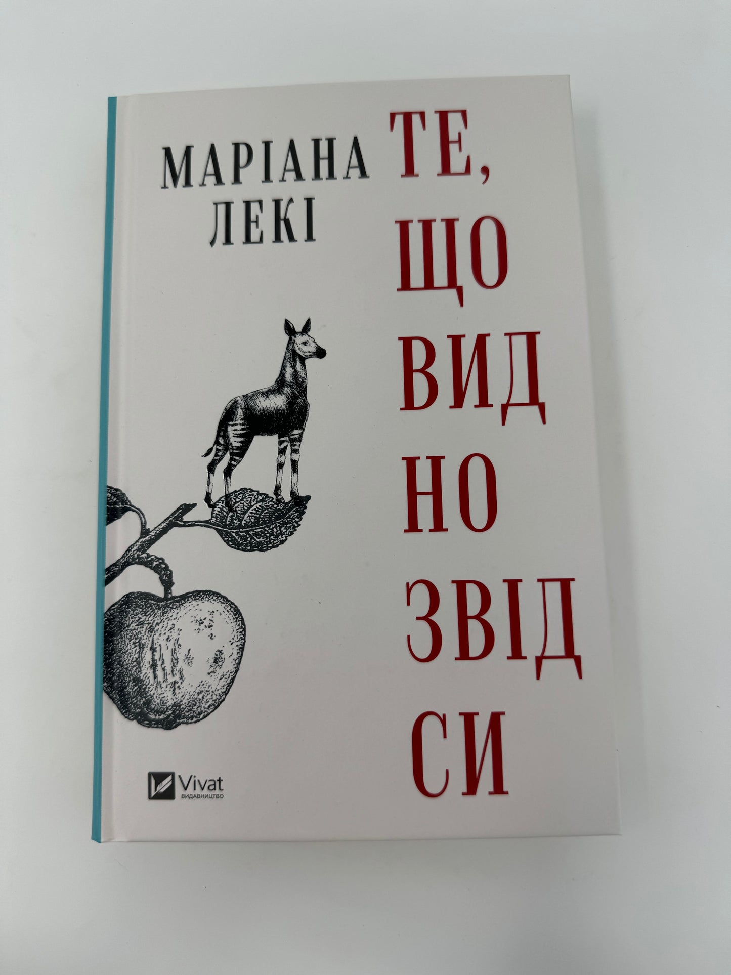 Те, що видно звідси. Маріана Лекі / Світові бестселери українською