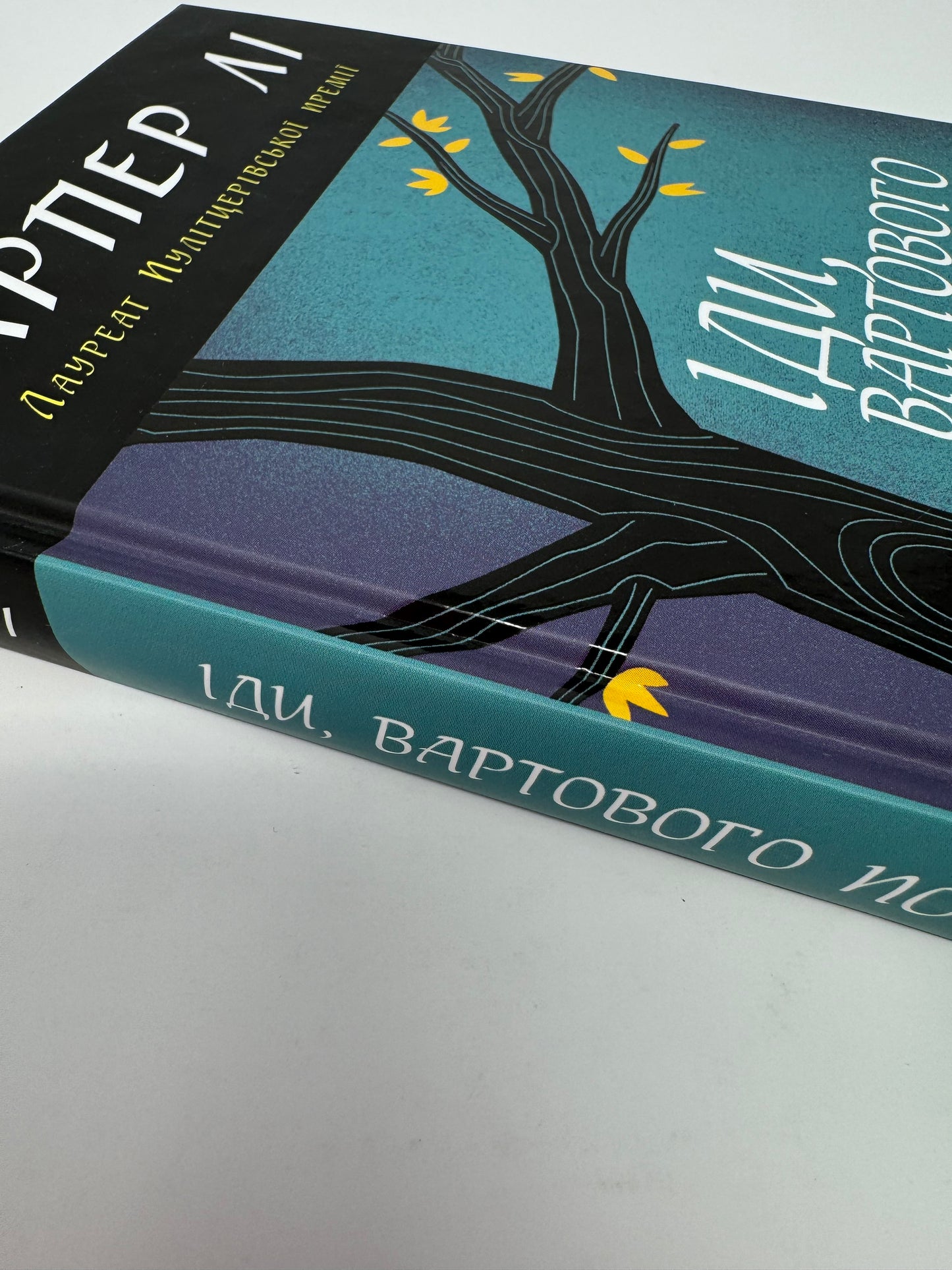 Іди, вартового постав. Гарпер Лі / Книги лауреатів Пулітцерівської премії