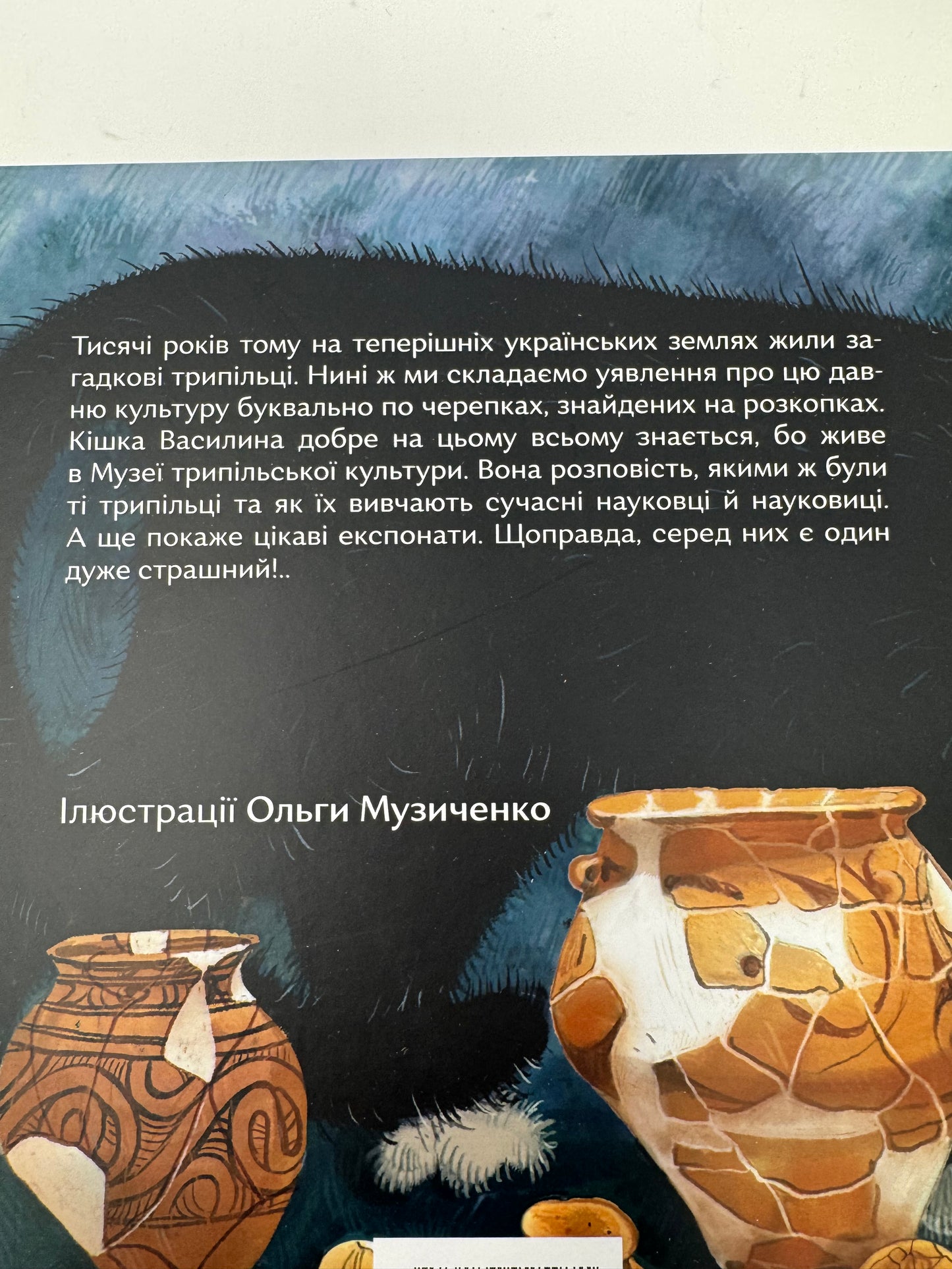 Василина і трипільський слід. Марина Павленко / Книги про Україну художні для дітей