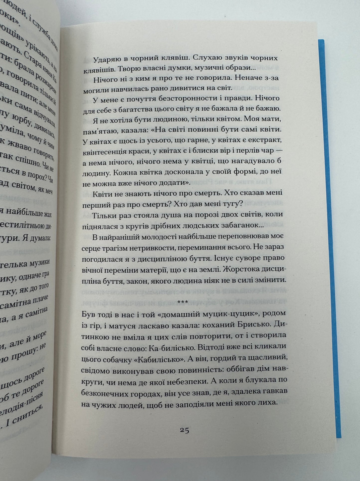 Хризантеми. Уляна Кравченко / Книги українські купити в США