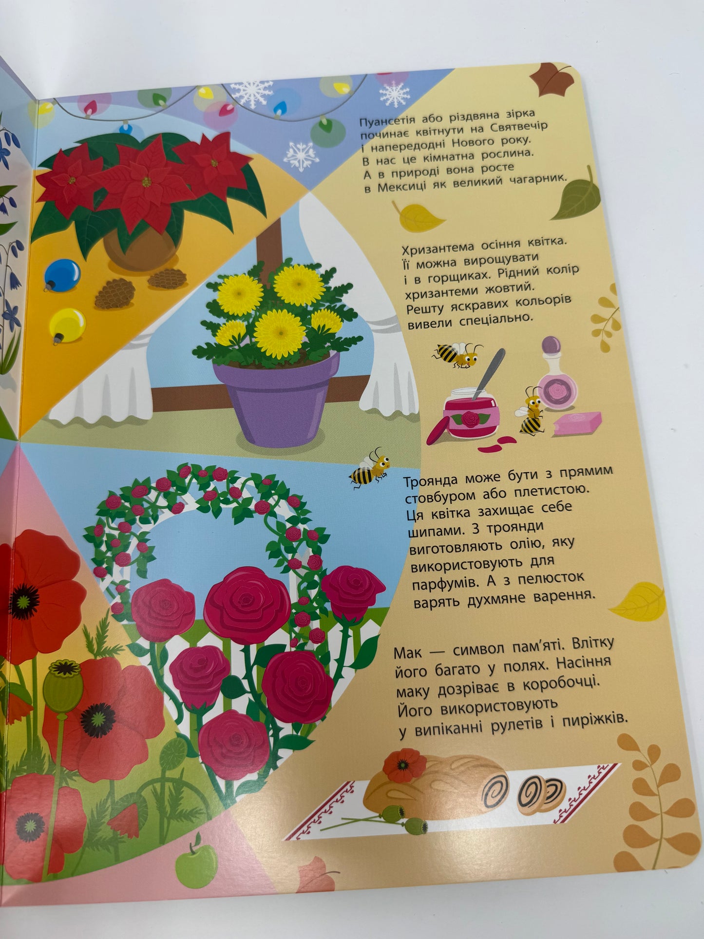 Таємне життя рослин / Пізнавальні українські книги для дітей