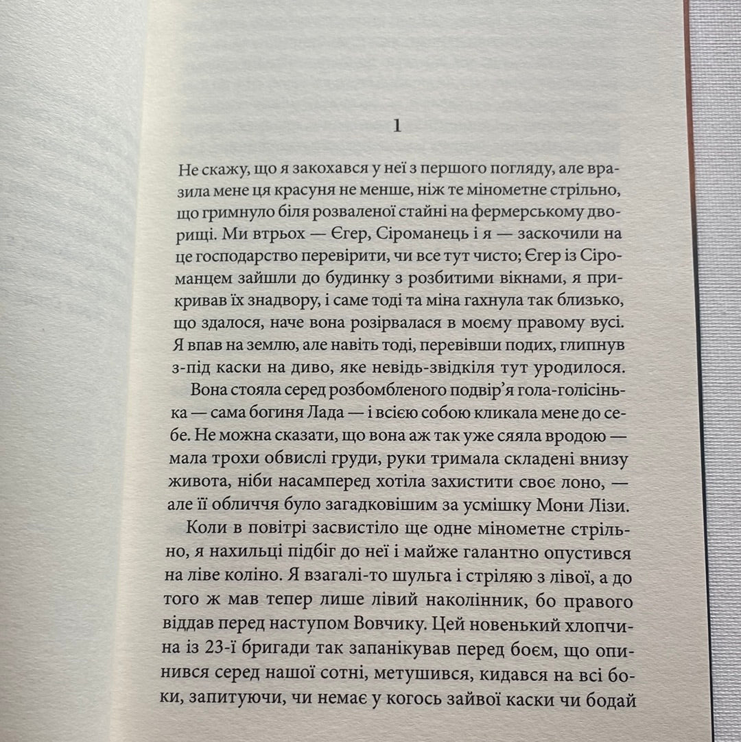 Чорне сонце. Василь Шкляр / Українські історичні романи