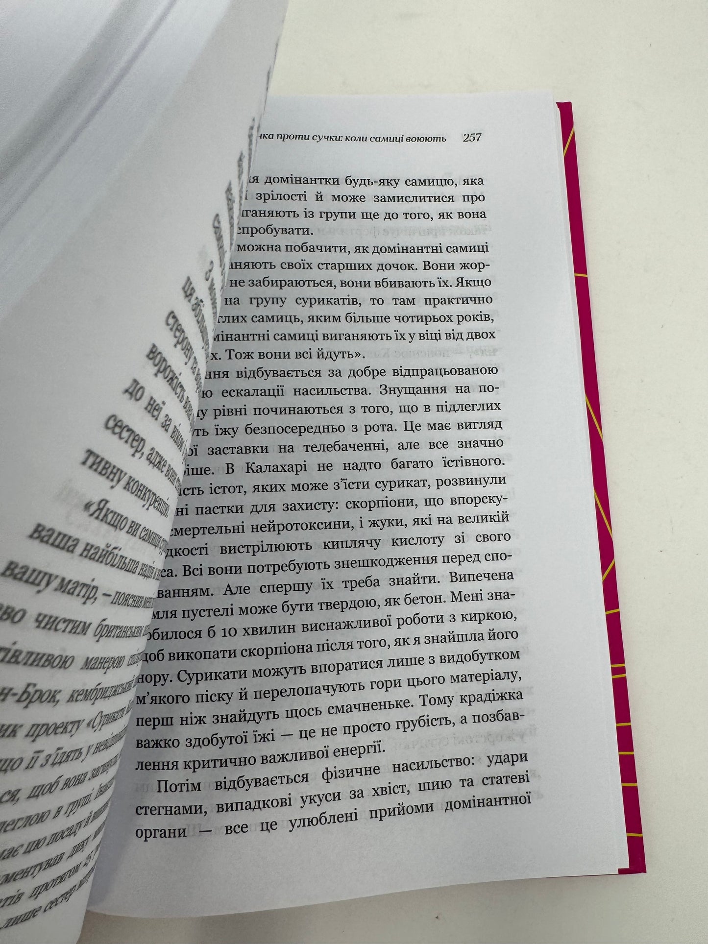 Сучка. Революційне дослідження про секс, еволюцію і самиць. Люсі Кук / Світовий нонфікшн українською купити в США
