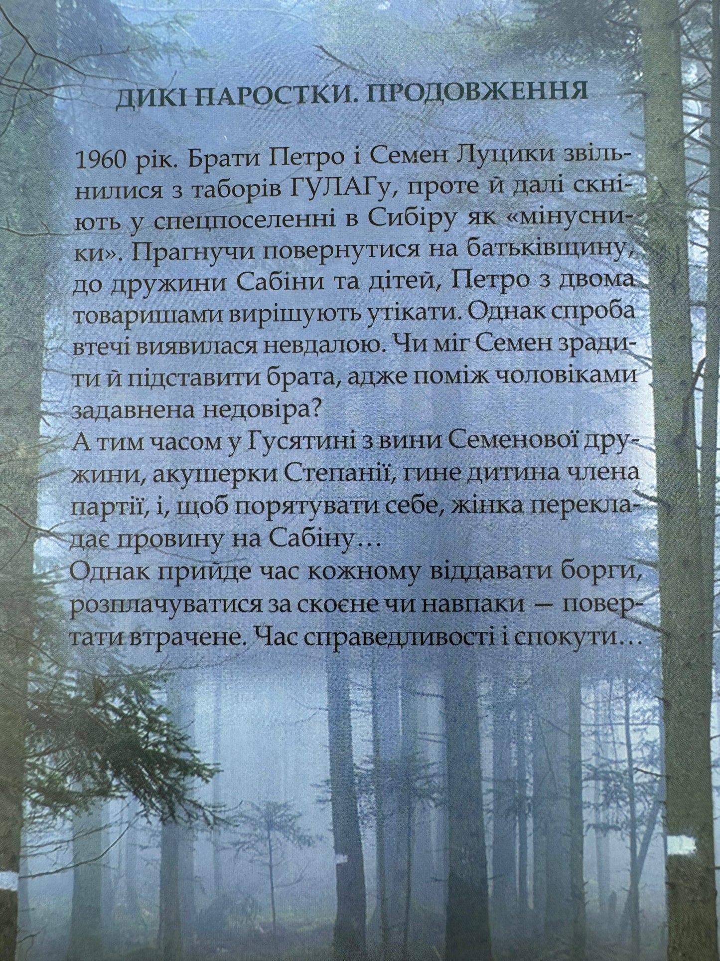 Дикі паростки. Без права повернення. Книга 2. Ольга Саліпа / Сучасна українська проза