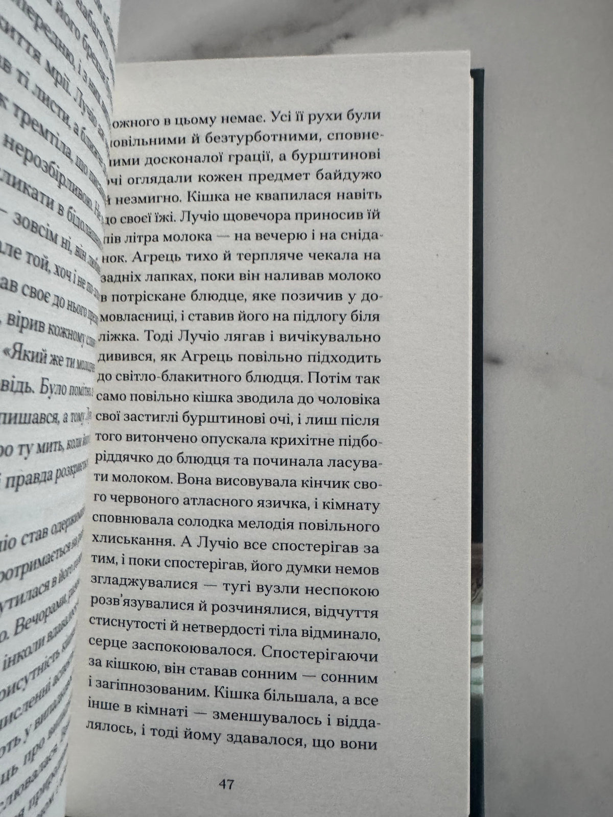 Однорукий та інші історії. Теннессі Вільямс / Книги українською купити