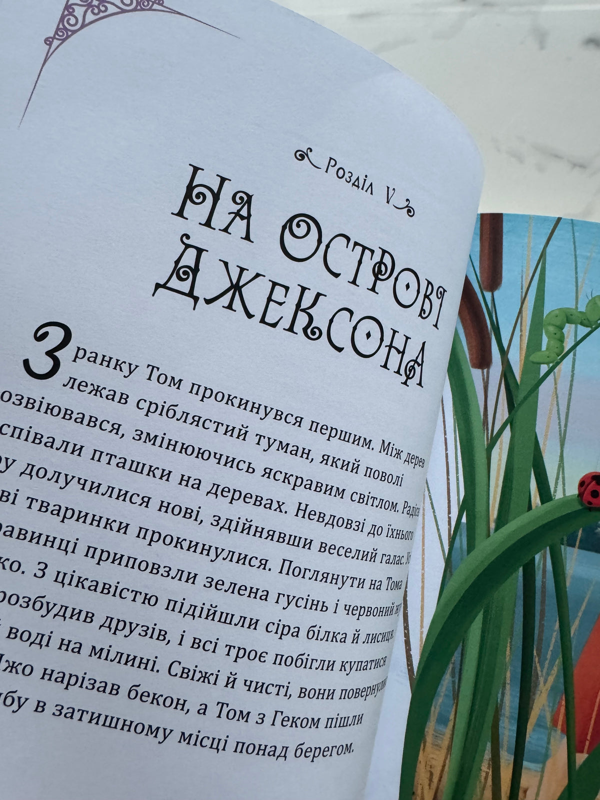 Пригоди Тома Соєра. Марк Твен (переказ для дітей) / Книги Марка Твена для дітей купити