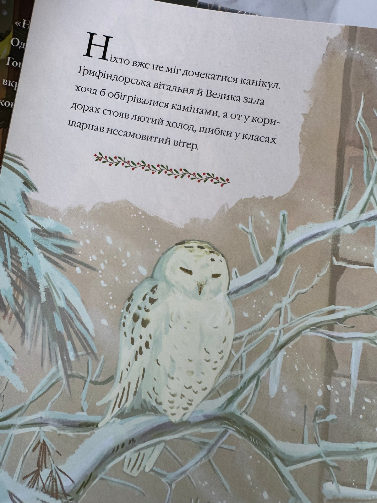 Різдво у Гоґвортсі. Велике ілюстроване видання. Джоан Роулінґ / Книги різдвяні про Гаррі Поттера