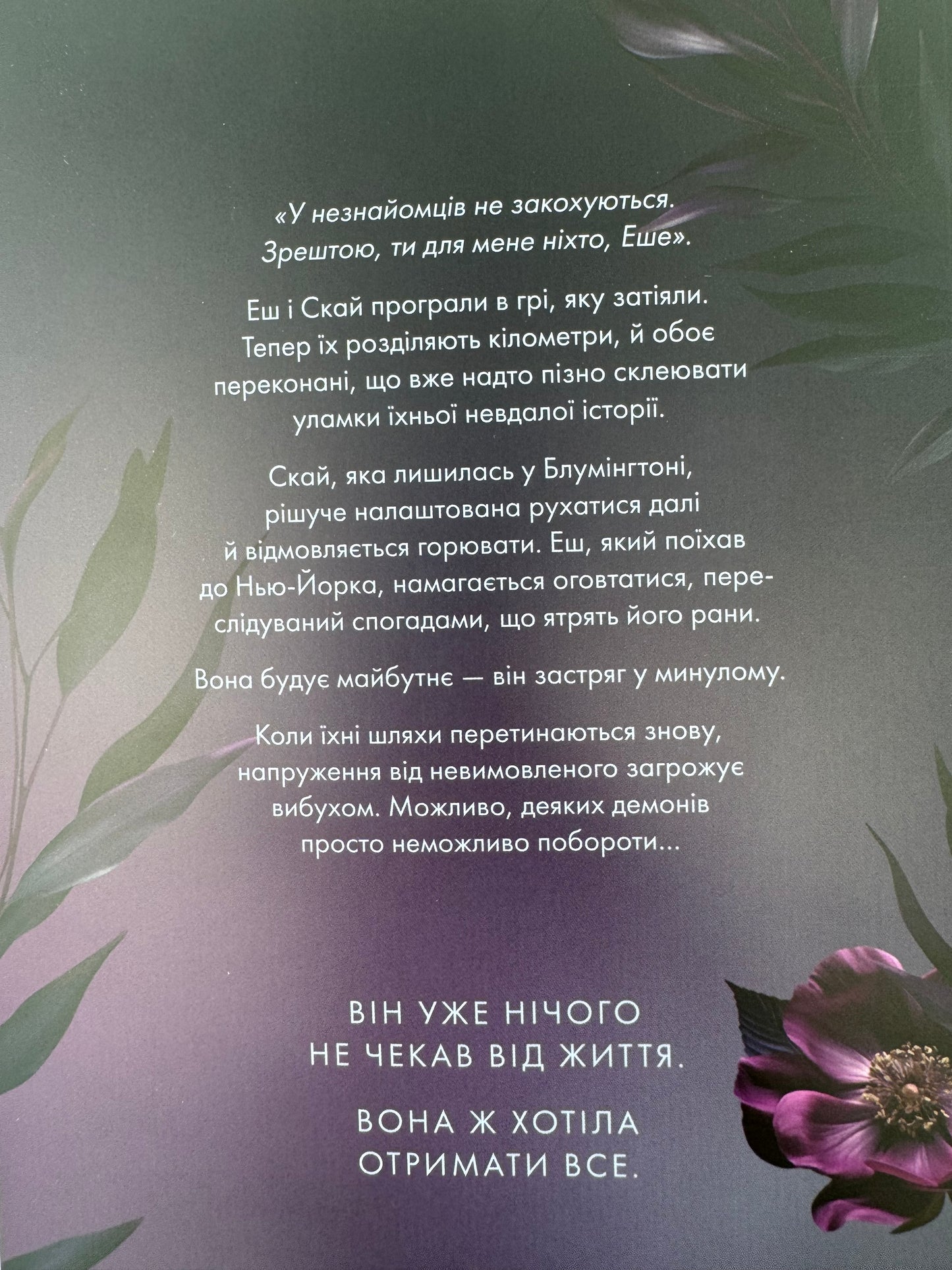 Попіл лине до неба. Том 2. Нін Ґорман / Книги перекладені купити в США