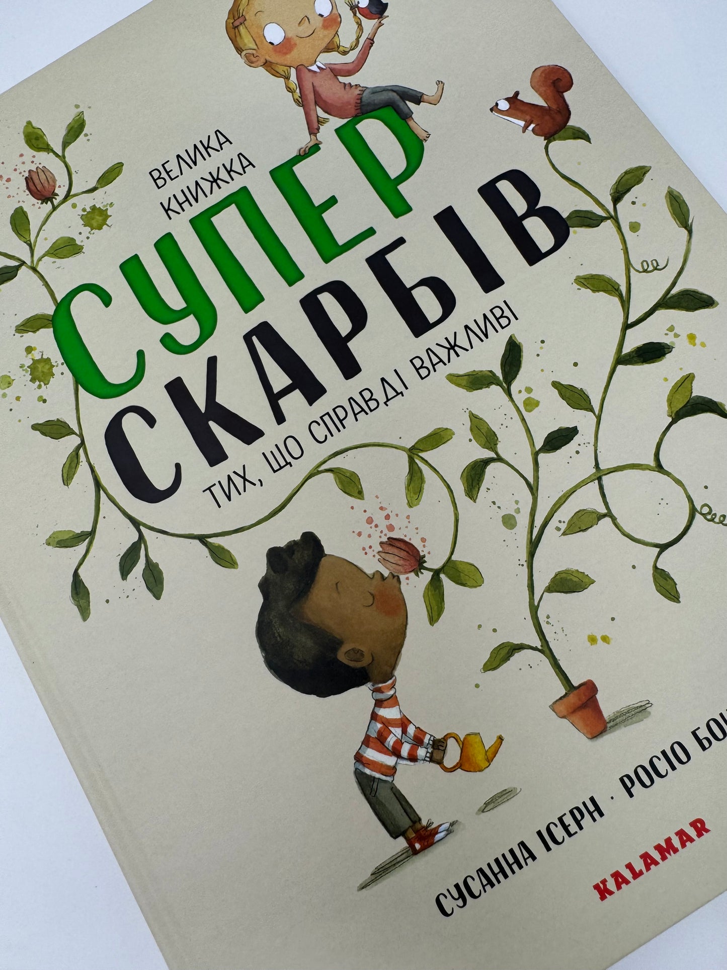 Велика книжка суперскарбів (тих, що справді важливі). Сусанна Ісерн / Книги з дитячої психології