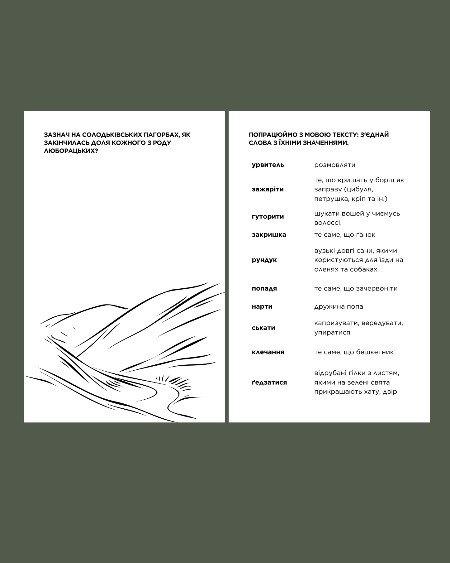 Електронний читацький щоденник для книжкового клубу до роману Анатоля Свидницького "Люборацькі". Розроблений Вікторією Барбанюк / Читацькі щоденники в США