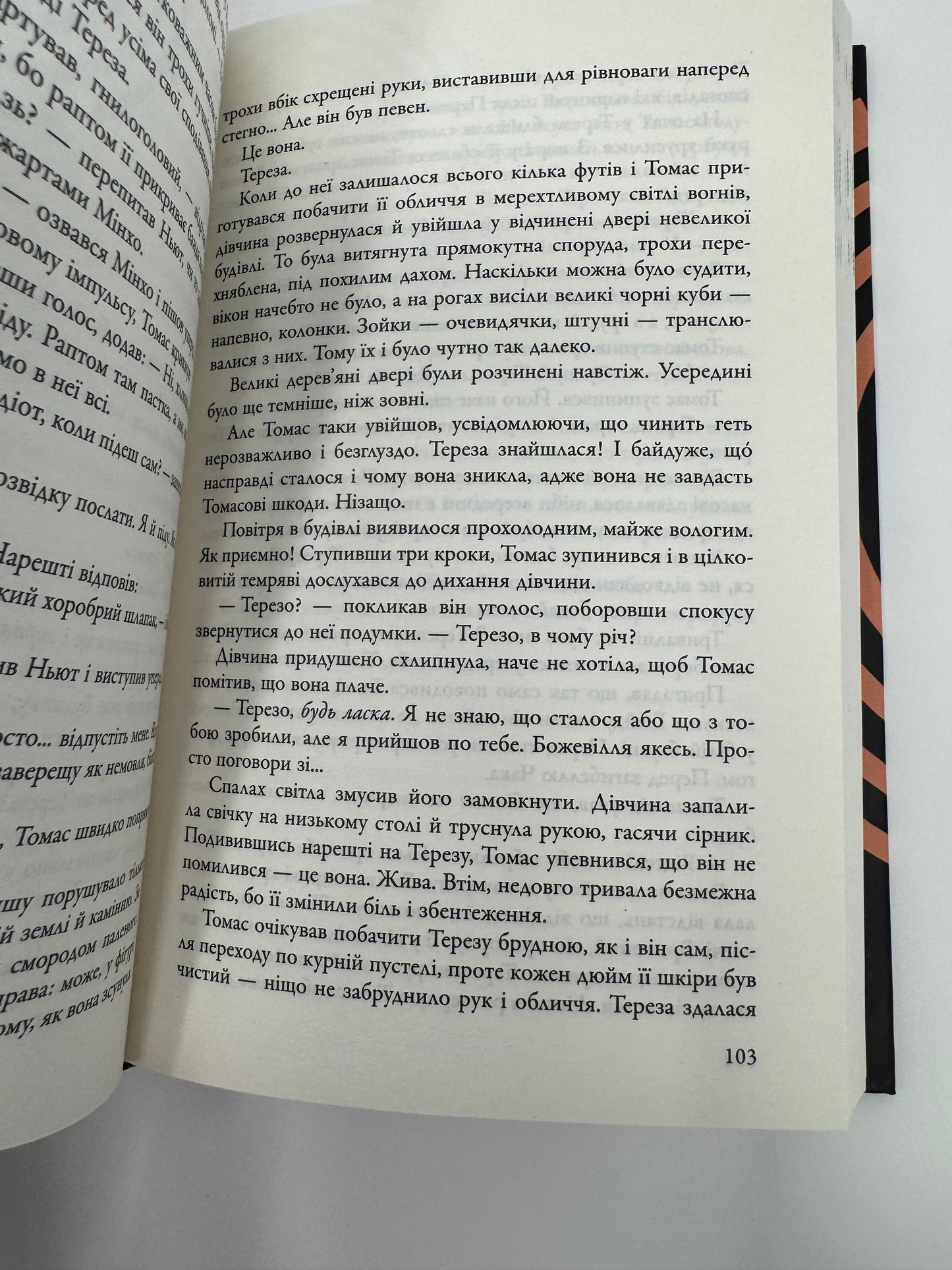 Випробування вогнем. Той, що біжить Лабіринтом. Джеймс Дешнер / Книги світові бестселери