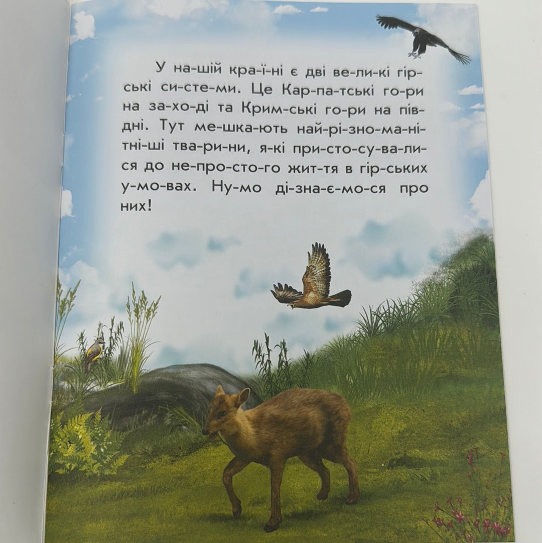 Тварини гір. Читаю про Україну / Книги для читання по складах