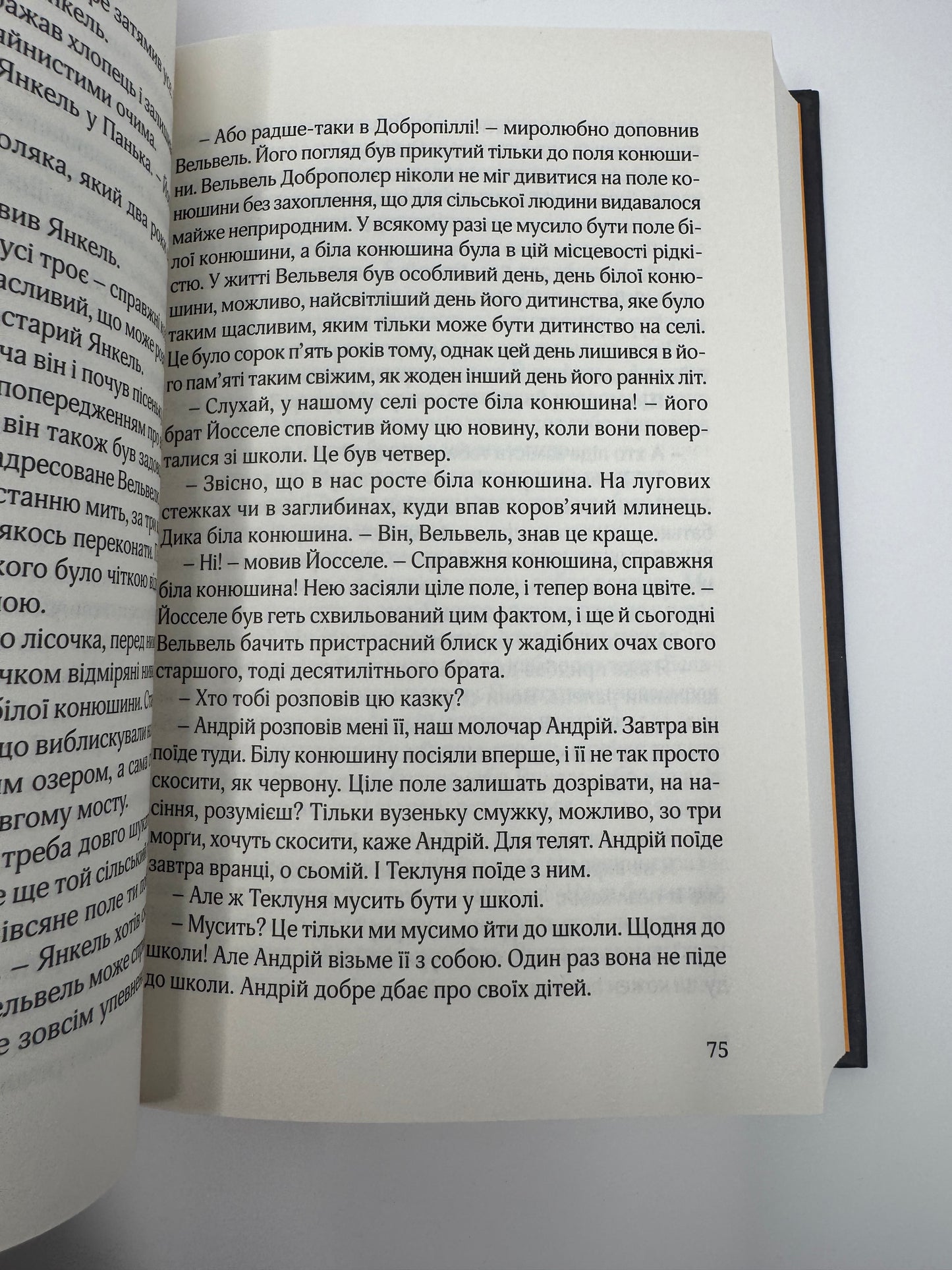 Син блудного сина. Сома Морґенштерн / Світова література книги в США українські