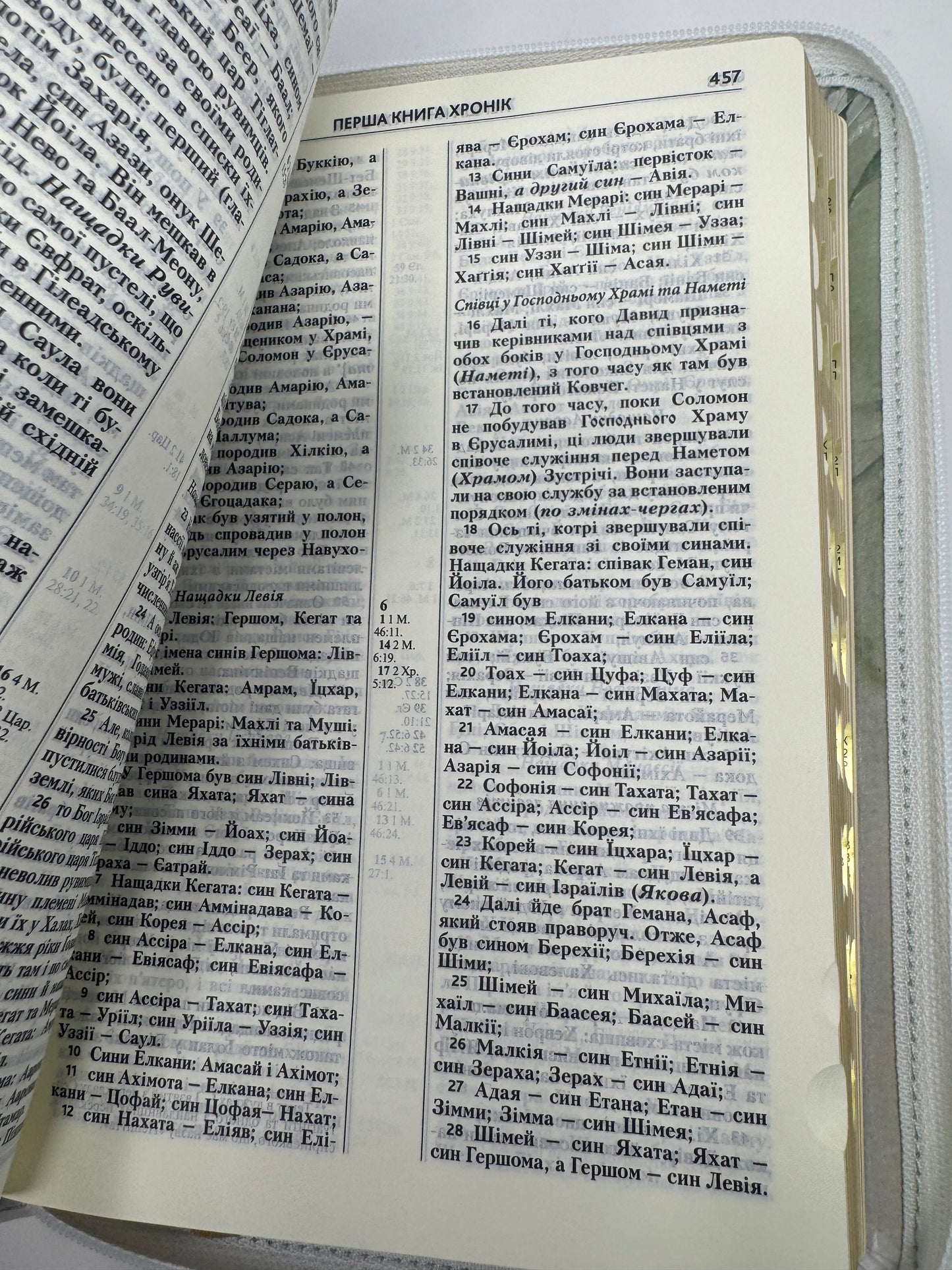 Біблія сучасний переклад світло-сіра з зеленим листям. Переклад Турконяка / Біблії українські купити на подарунок