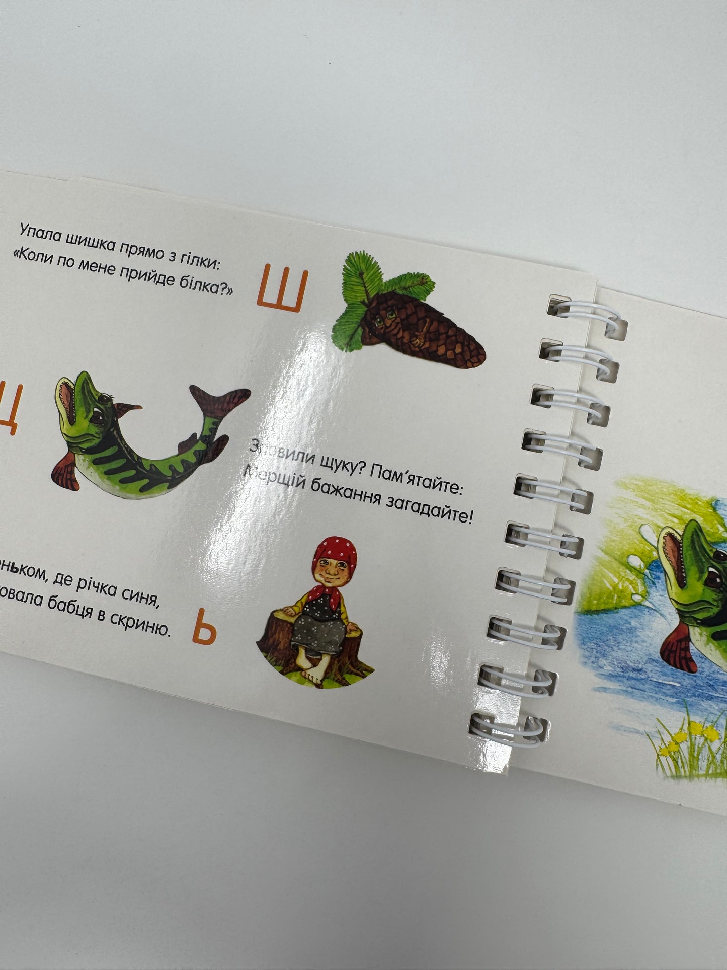 Абетка. Перші кроки / Українська абетка та алфавіт купити книги