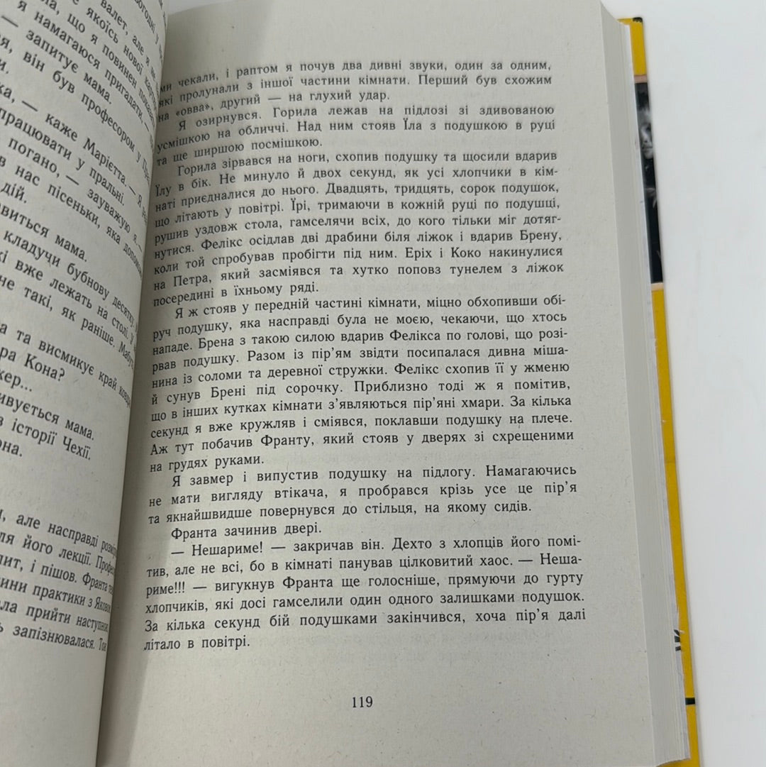 А десь ще сонячно. Мемуари про Голокост. Майкл Ґрюнбаум, Тодд Хасак-Лові / Книги про трагедії людства