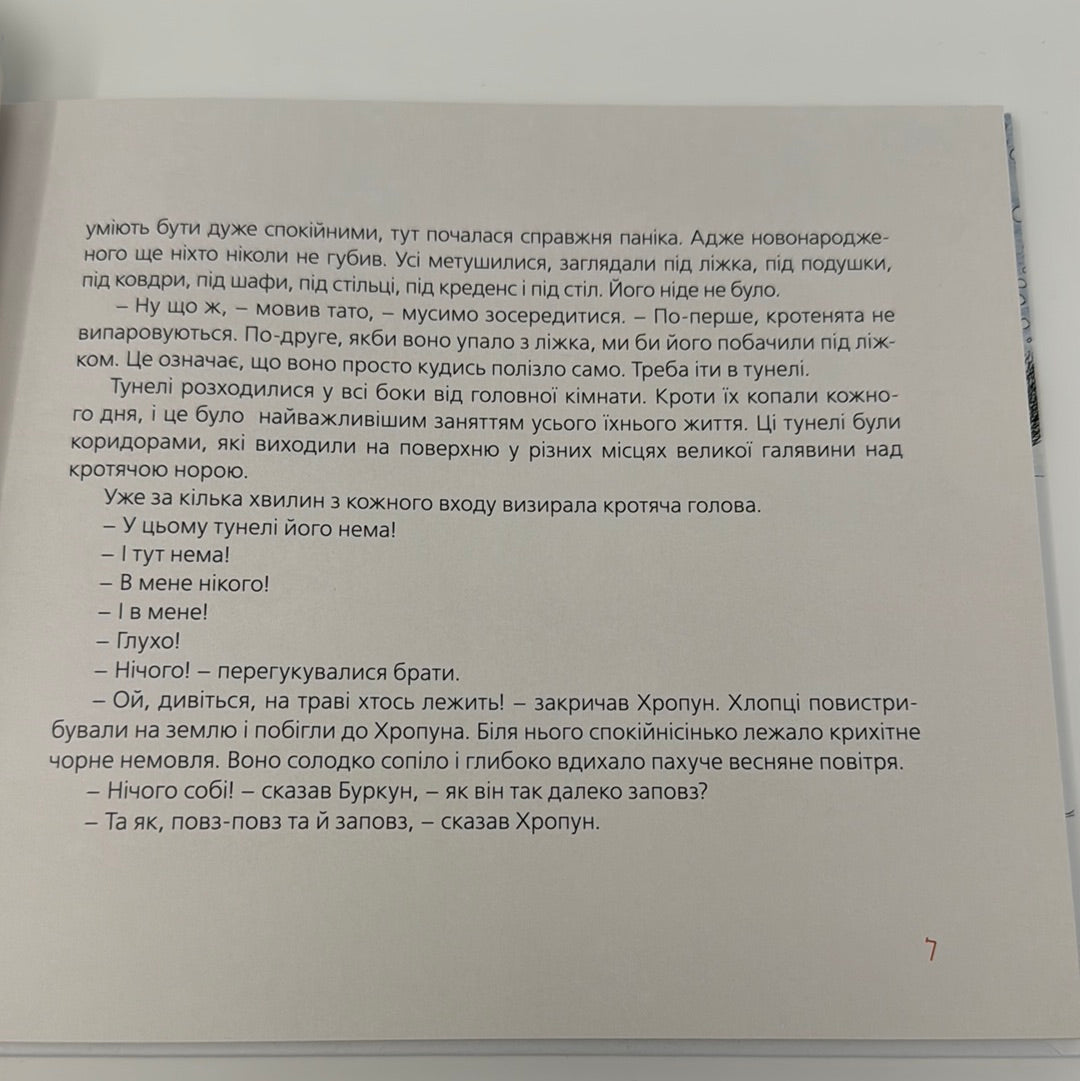 Хто зробить сніг? Марʼяна Прохасько, Тарас Прохасько / Зимові дитячі українські книги