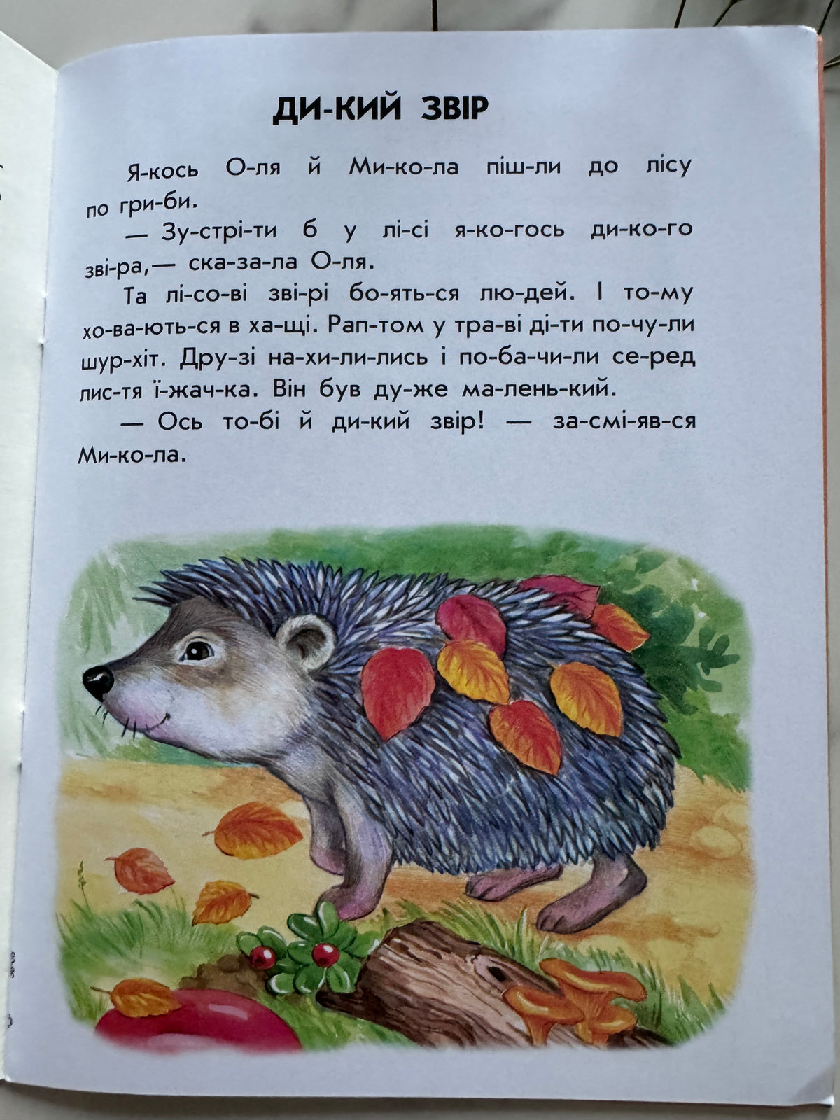 10 історій по складах. Неслухняні тарілки. Юлія Каспарова / Книги для перших читань
