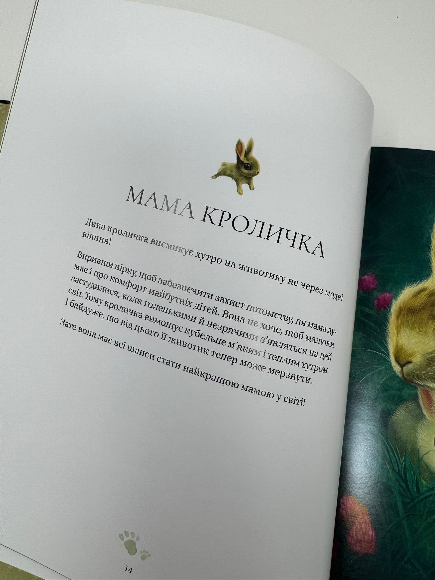 Найкраща мама у світі. Себастьян Перез / Книги про маму для дітей